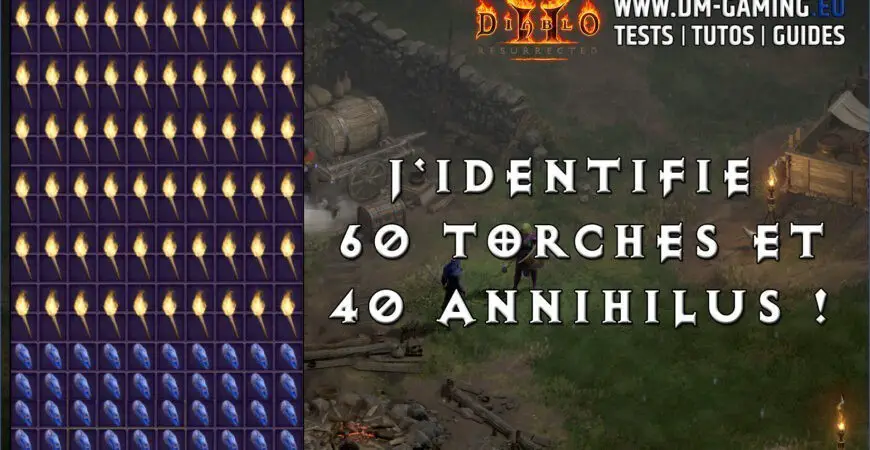 Identification 60 Torches and 40 Annihilus on Diablo 2 Resurrected