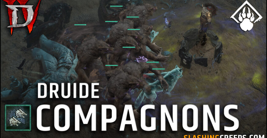 Build Druide Compagnon Diablo 4