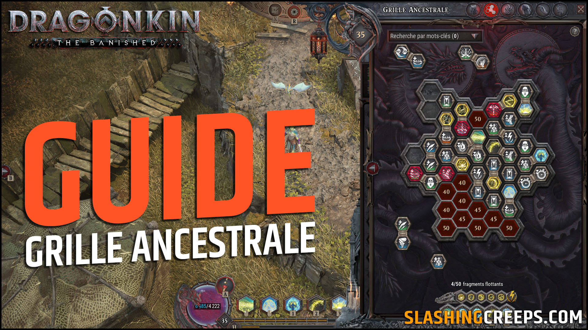 Guide Grille Ancestrale Dragonkin The Banished