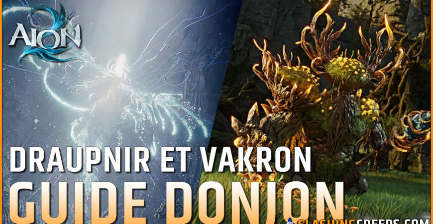 GUIDE DONJON CONQUÊTE AION 2, VAKRON ET DRAUPNIR, comment facilement en venir à bout