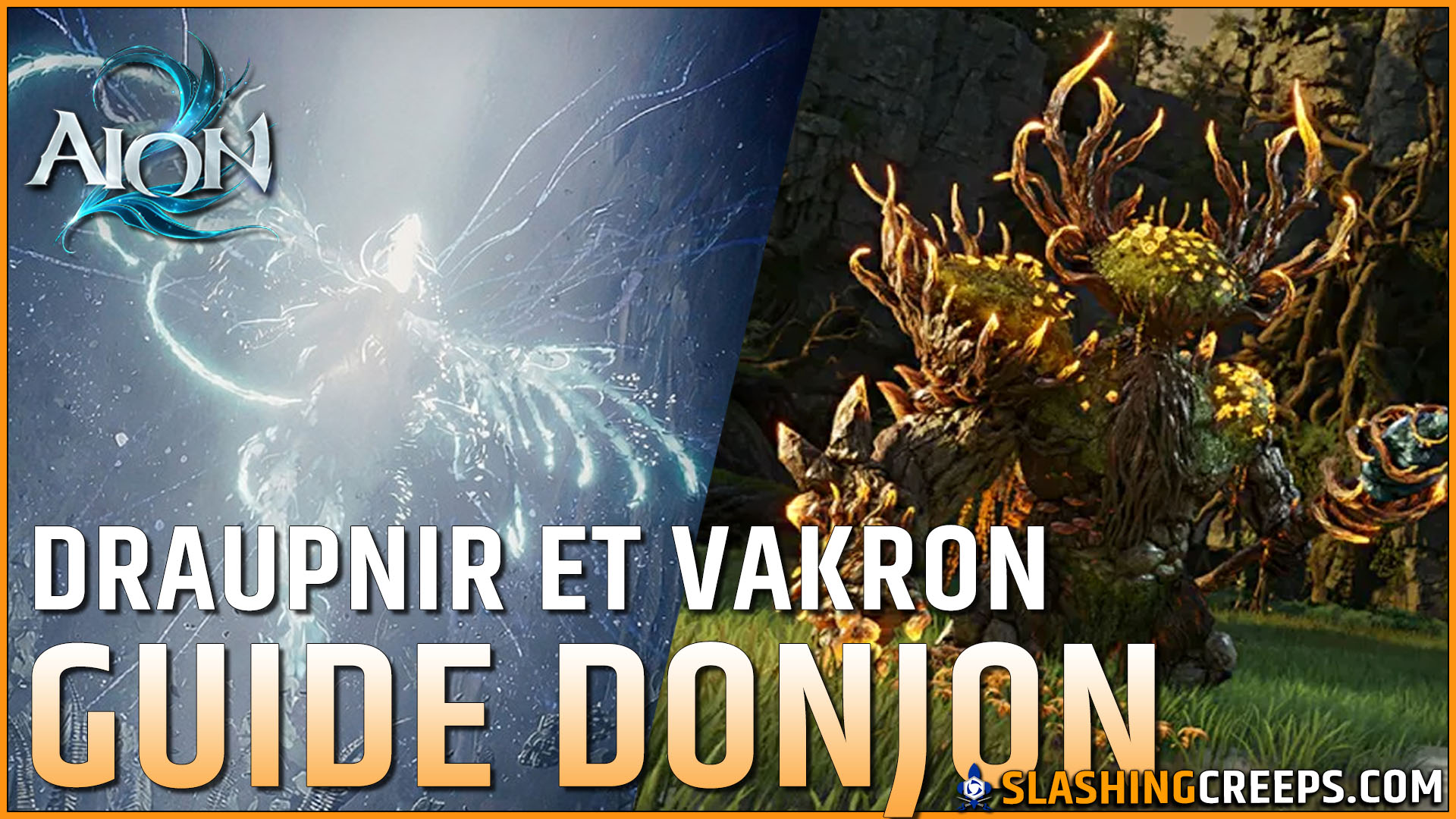 GUIDE DONJON CONQUÊTE AION 2, VAKRON ET DRAUPNIR, comment facilement en venir à bout